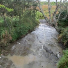 Goroka River